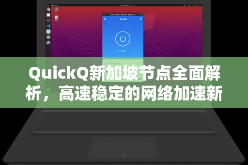 QuickQ新加坡节点全面解析，高速稳定的网络加速新选择