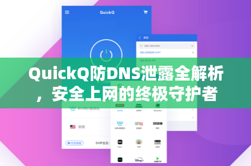 QuickQ防DNS泄露全解析，安全上网的终极守护者