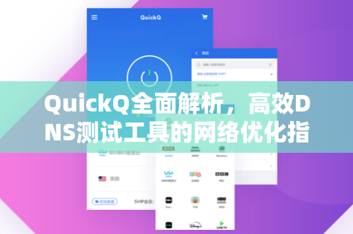 QuickQ全面解析，高效DNS测试工具的网络优化指南