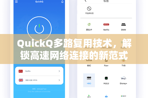 QuickQ多路复用技术，解锁高速网络连接的新范式