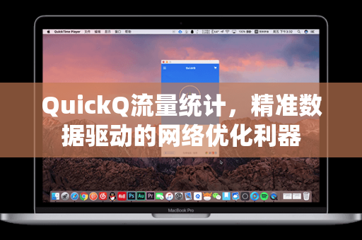 QuickQ流量统计，精准数据驱动的网络优化利器